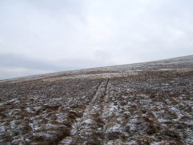Dun Law