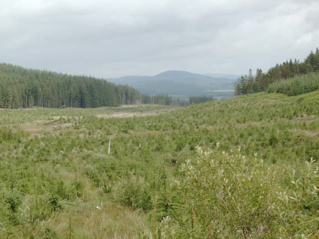 Mochrum Fell