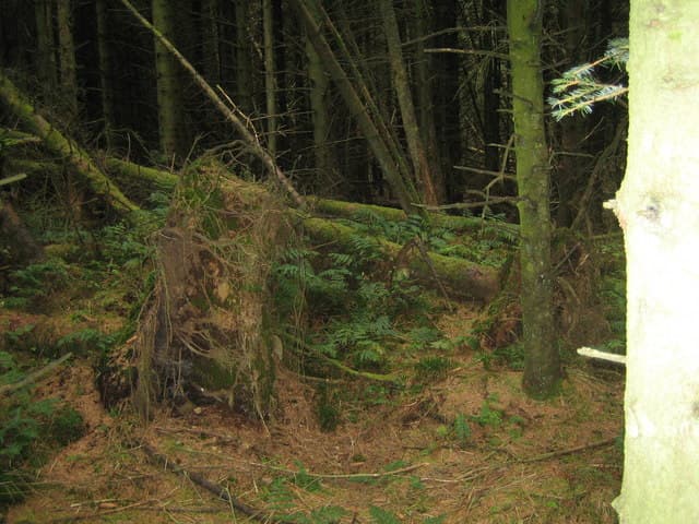Woodhead Hill