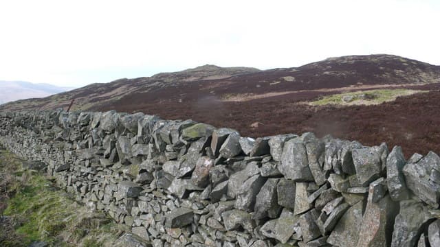 Bishop Forest Hill