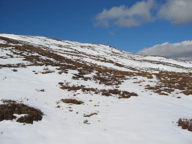 Carn Bad a' Chreamha
