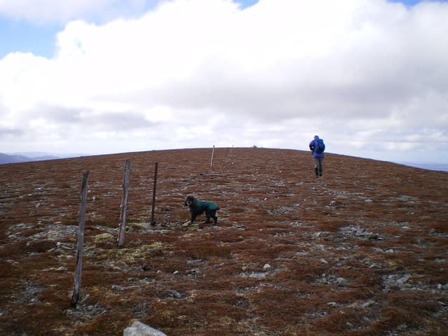 Geal Charn