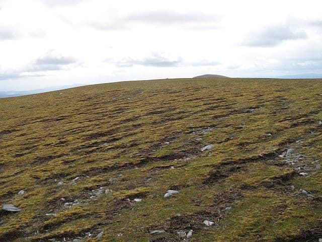Ben Armine