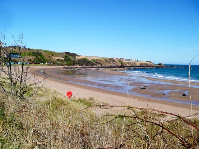 Coldingham Bay
