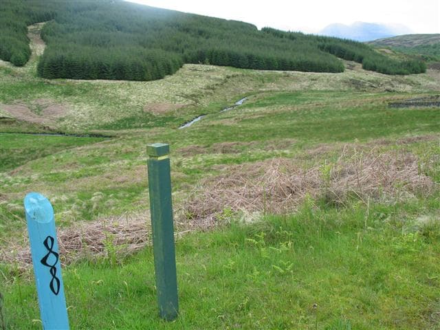 Kintyre Way