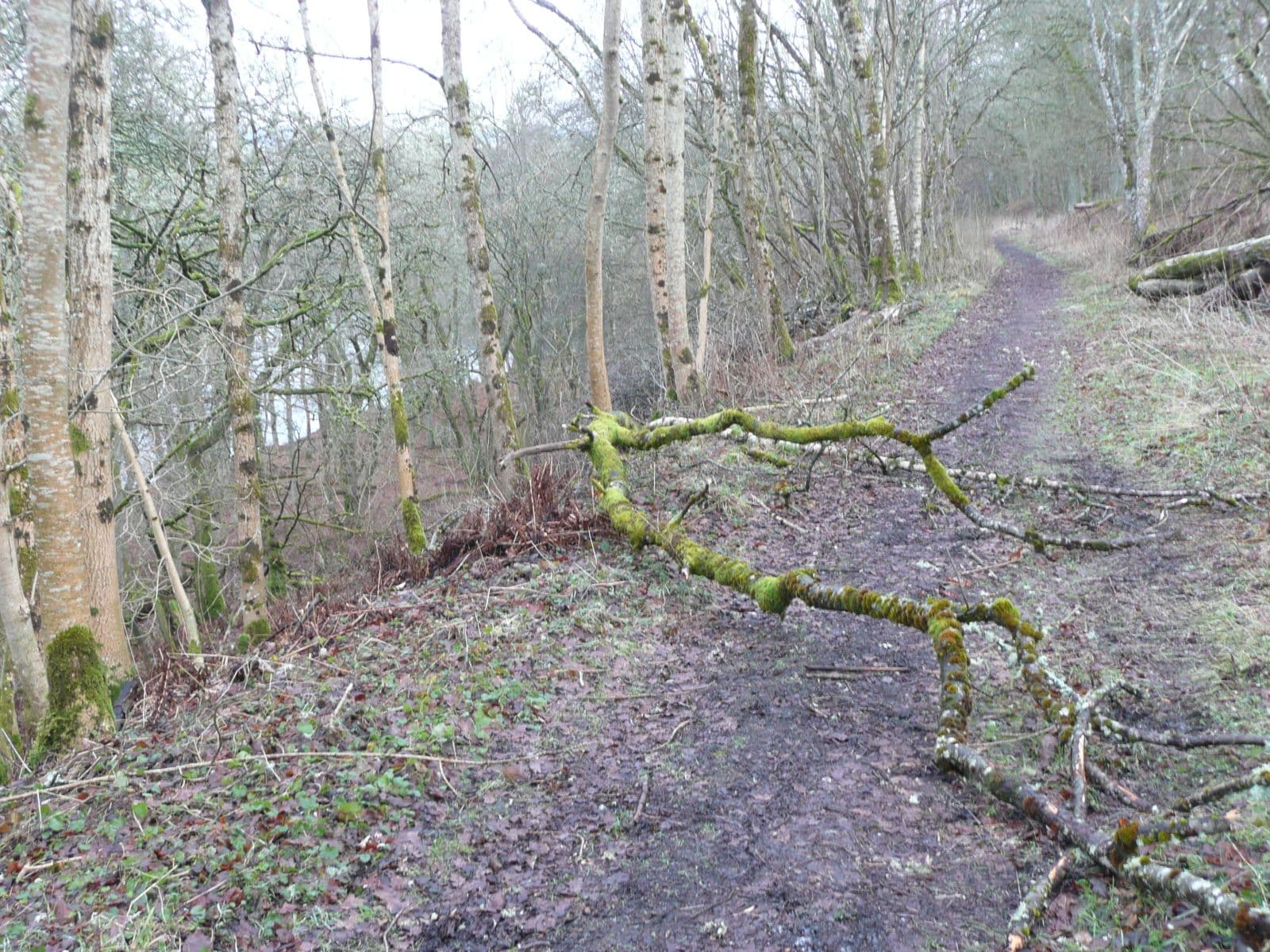 Rob Roy Way