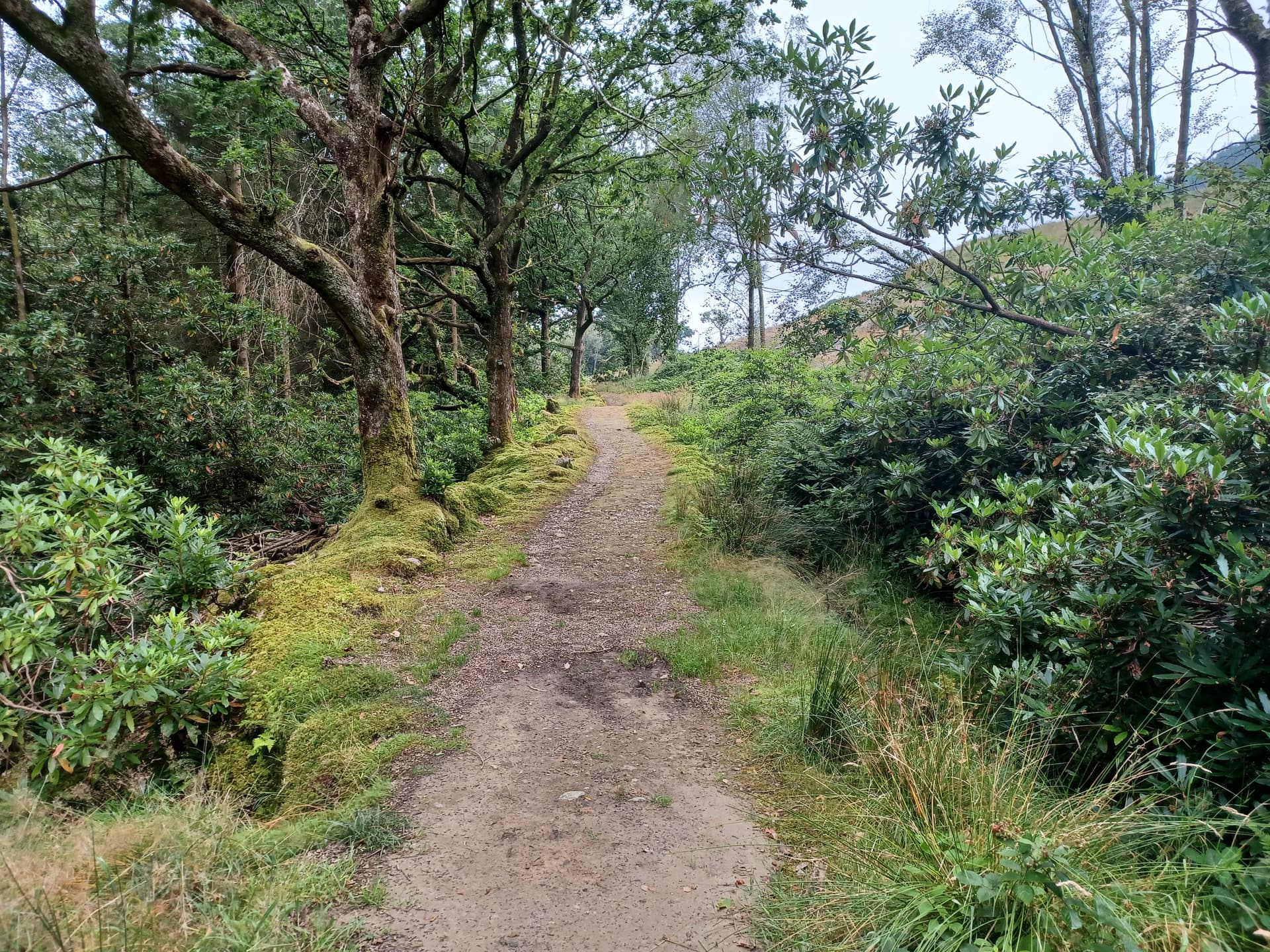 Loch Lomond and Cowal Way