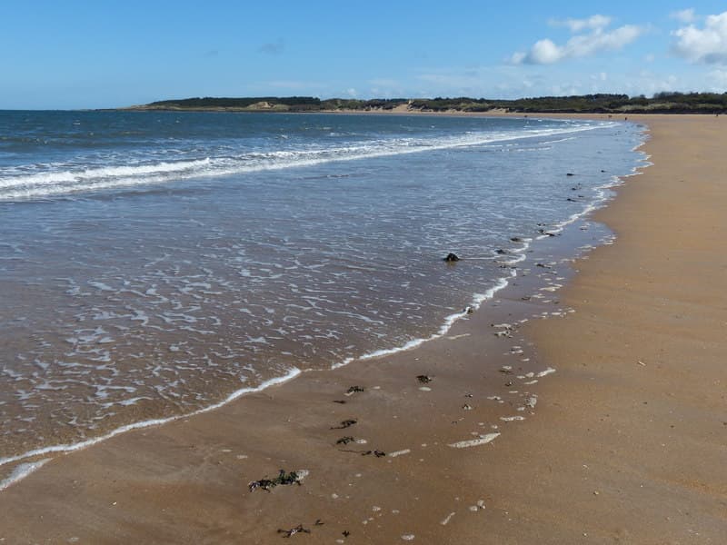 Gullane Bents