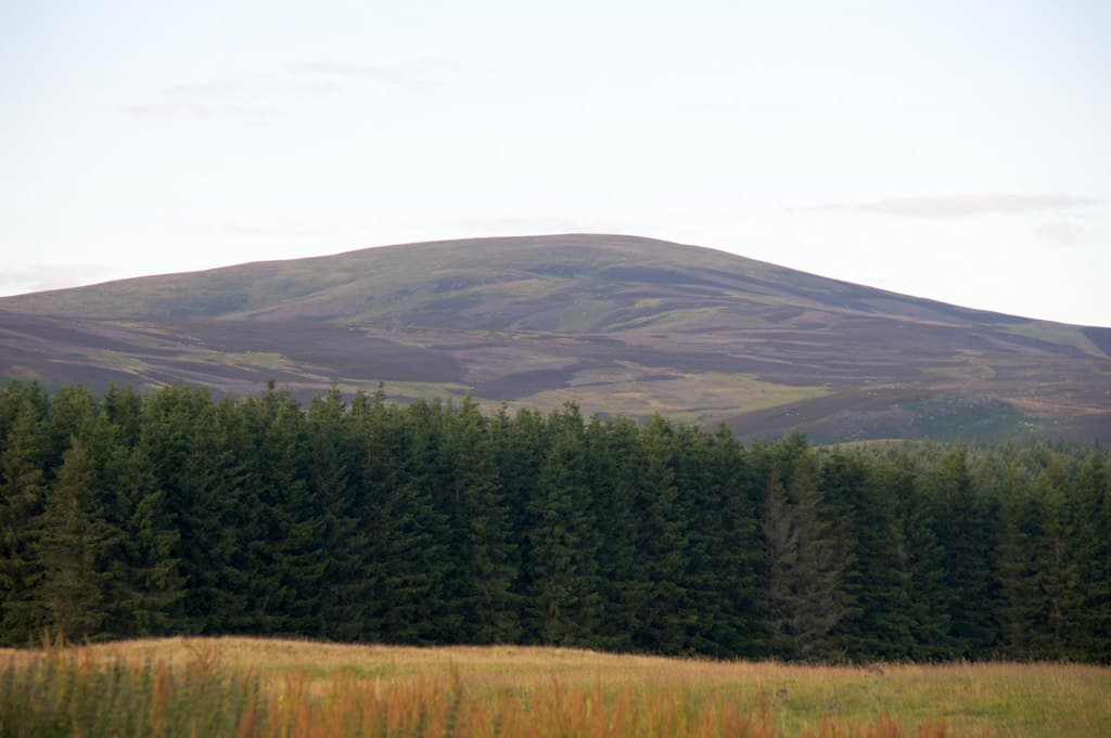 Creigh Hill