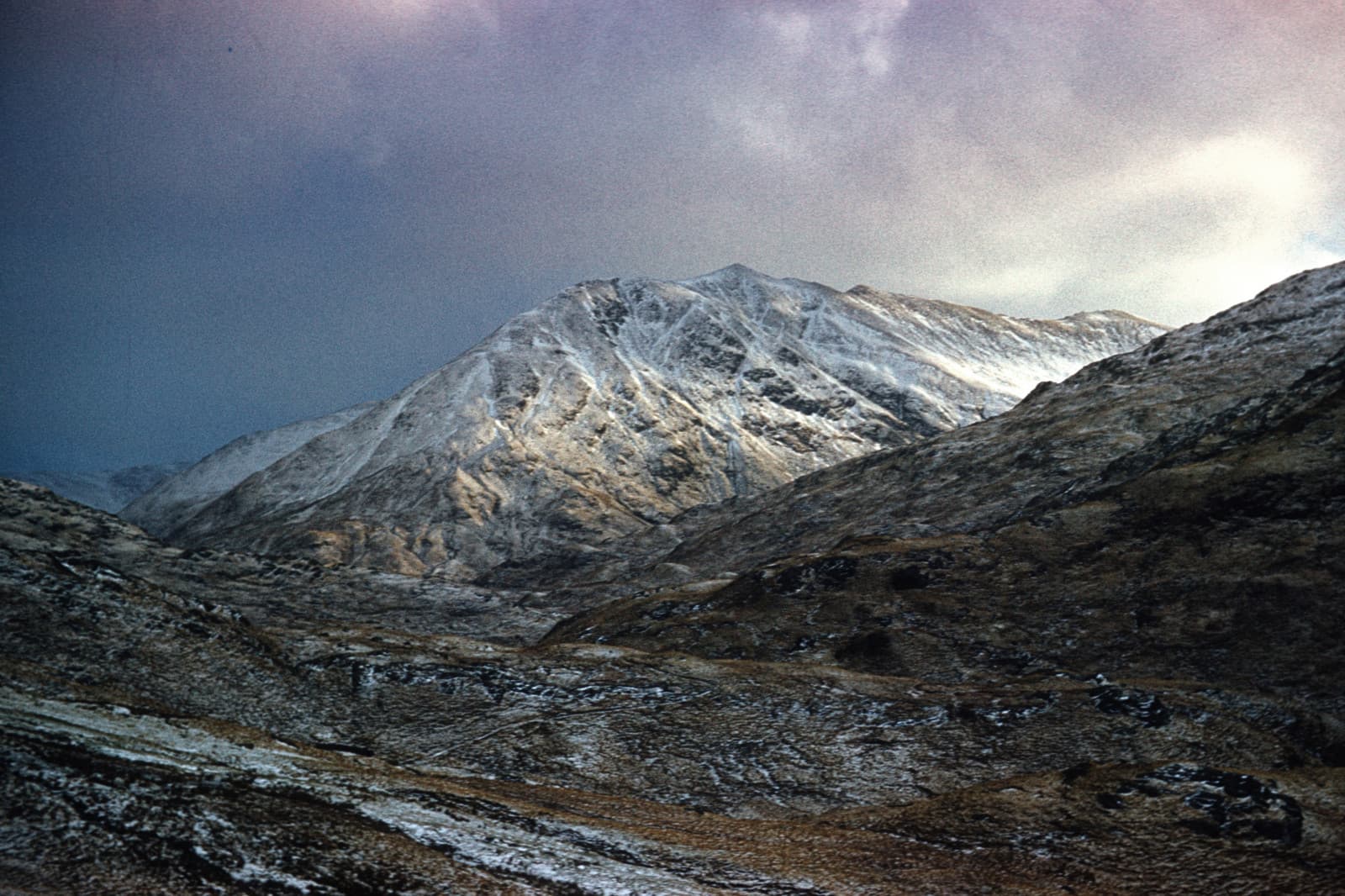 Ciste Dhubh