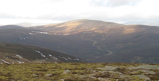 Carn an Fhidhleir (Carn Ealar)