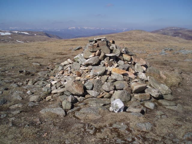 Tom Buidhe
