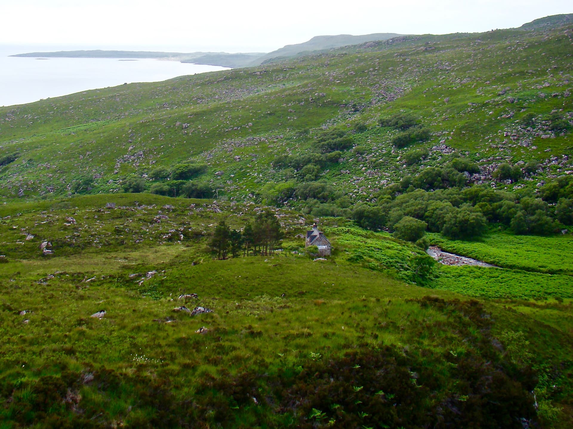 Craig Bothy