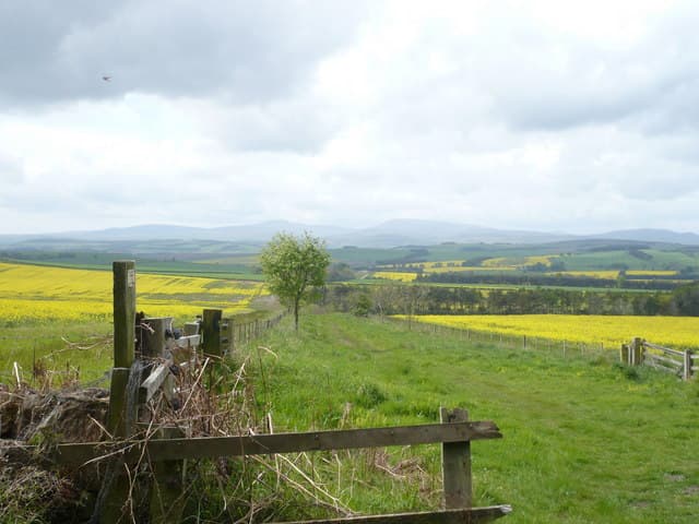 St Cuthberts Way