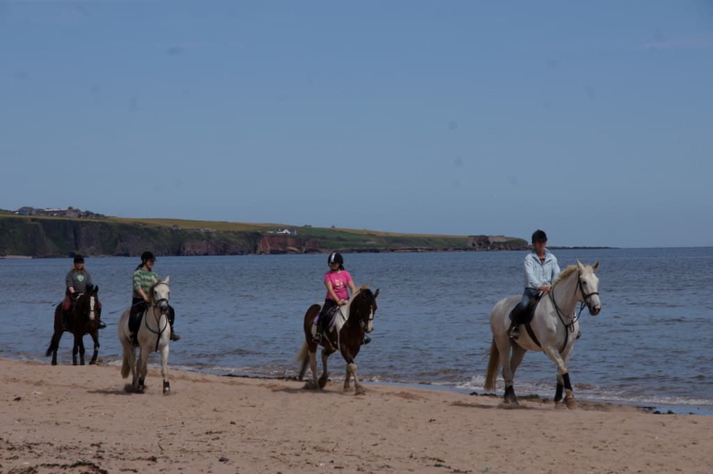 Lunan Bay